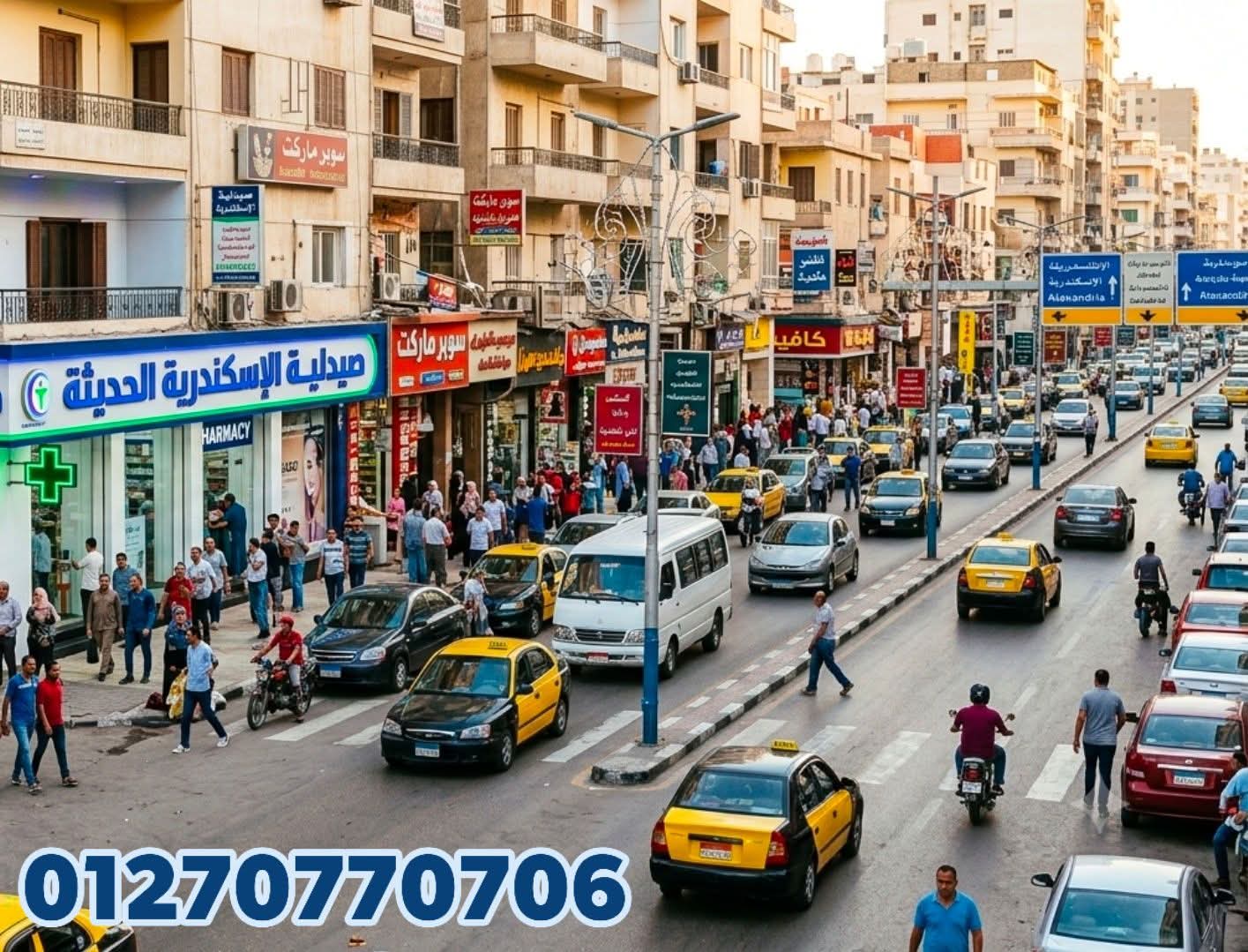 صيدلية بالاسكندرية